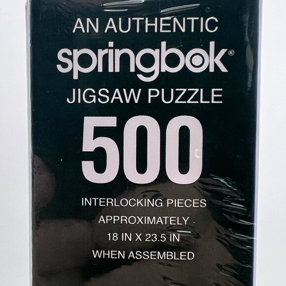 Springbok 500 Piece Jigsaw Puzzle B&O Railroad Museum Summit 5 Train Scene NEW - Picture 5 of 11